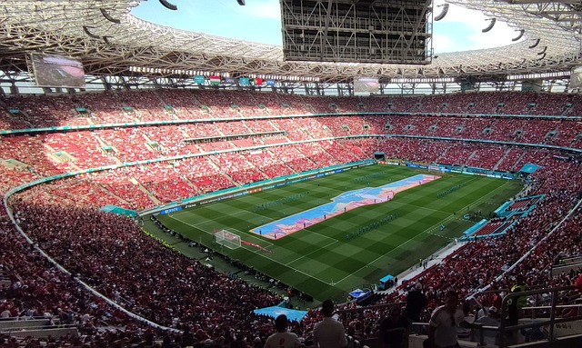 完美体育app网页版入口